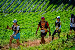 BIB: 6425, 400
                            <button type="button" onclick="openModal(19163669)" class="btn btn-primary btn-sm float-right btn-popup" data-toggle="modal" data-target=".modal-high-quality">
                        <i class="fas fa-shopping-cart"></i> Add to Cart
                    </button>
                                            <button type="button" onclick="isThisMe(19163669, true)" class="btn btn-success btn-sm float-right btn-popup btn-isme hidden" data-toggle="tooltip" data-placement="bottom" title="นี่คือรูปของคุณใช่ไหม คลิกที่นี่เพื่อเอาเข้าอัลบั้ม">
                        <i class="fas fa-plus"></i> Add to album
                    </button>
                    <button type="button" onclick="isThisMe(19163669, false)" class="btn btn-warning btn-sm float-right btn-popup btn-isnotme hidden">
                        <i class="fas fa-ban"></i> Remove from album
                    </button>